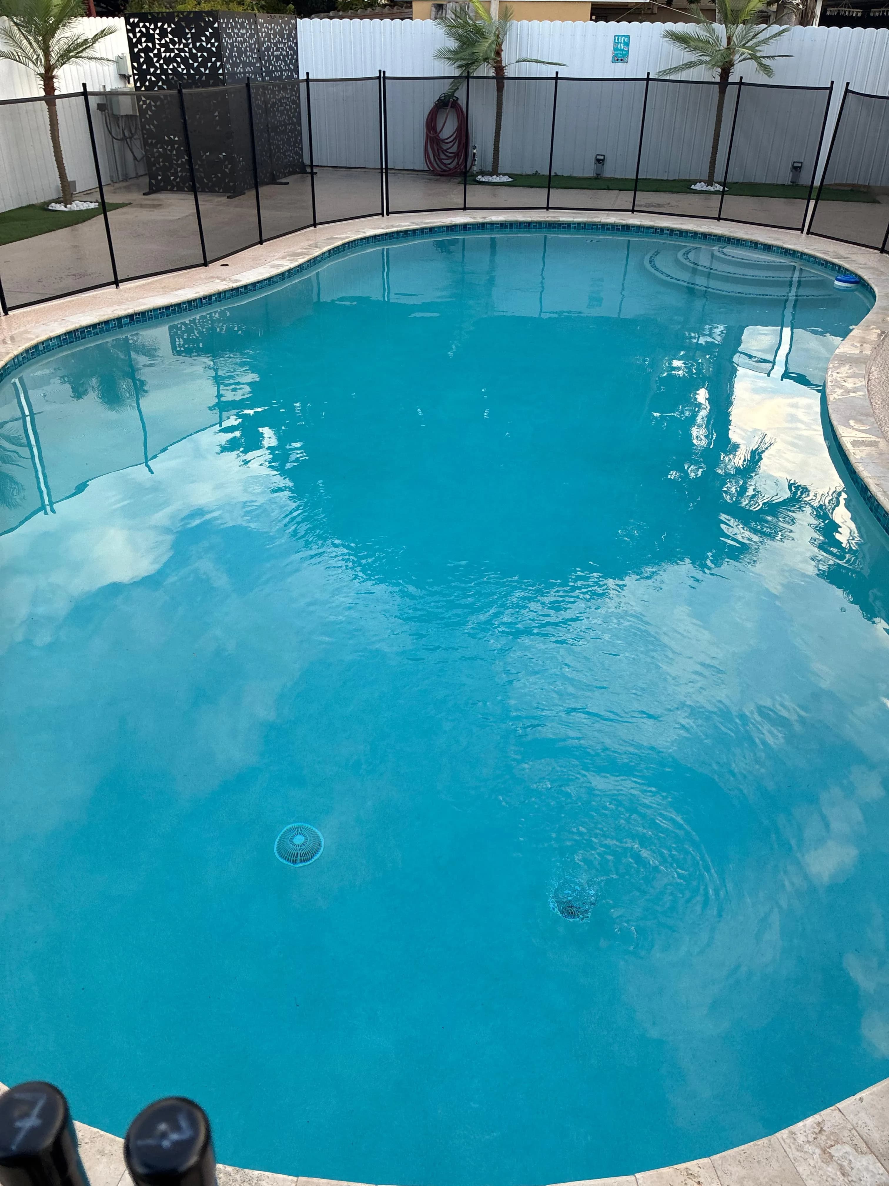 Freeform Pool with Safety Fence