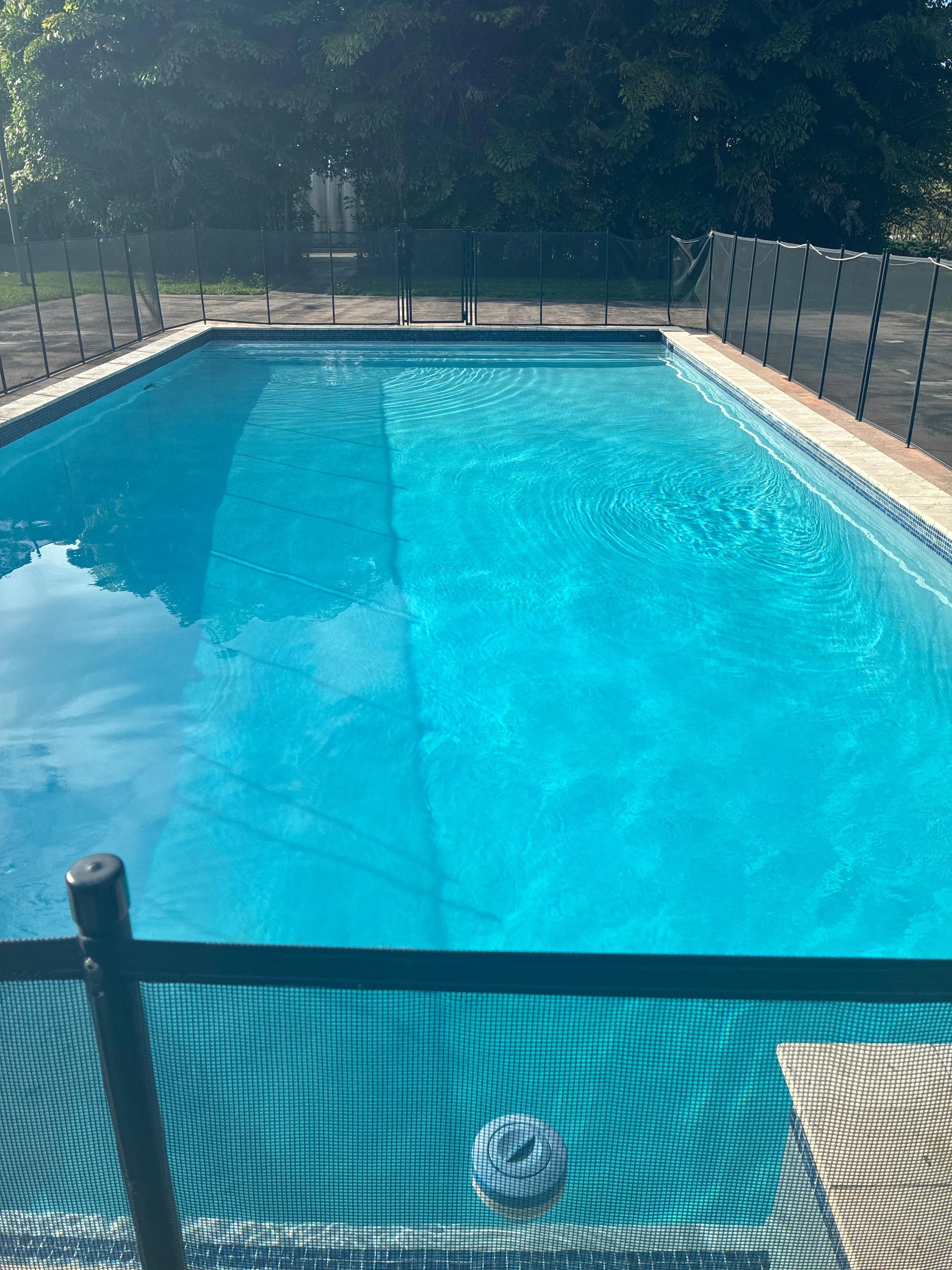 Pool with Safety Fence — Well Maintained
